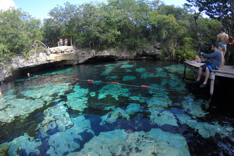 Cancún: Schnorcheln mit Meeresschildkröten und Cenote Swim