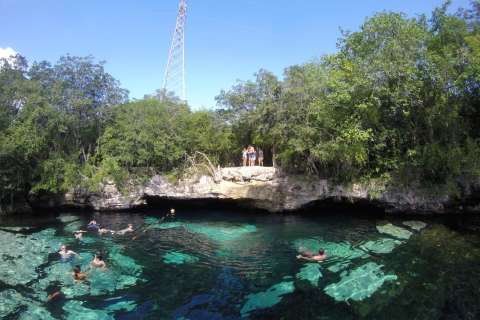 Cancún: Schnorcheln mit Meeresschildkröten und Cenote Swim