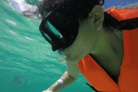 Cancún: plongée en apnée avec des tortues marines et nage en cénote