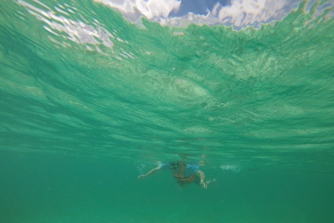 Cancún : plongée en apnée avec les tortues marinesDe Cancún