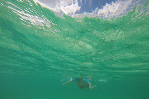 Cancún: snorkel con tortugas marinasDe Cancún