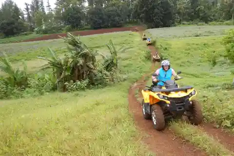 Mo'orea: Guided ATV Nature Tour