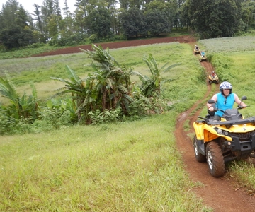 Mo'orea: Guided ATV Nature Tour