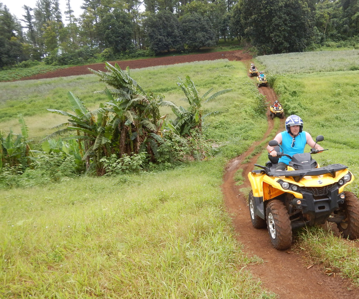 Mo'orea: tour guiado por la naturaleza en cuatrimoto
