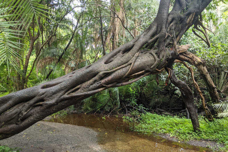 5-Day Explore Zimbabwe, Zambia and Botswana