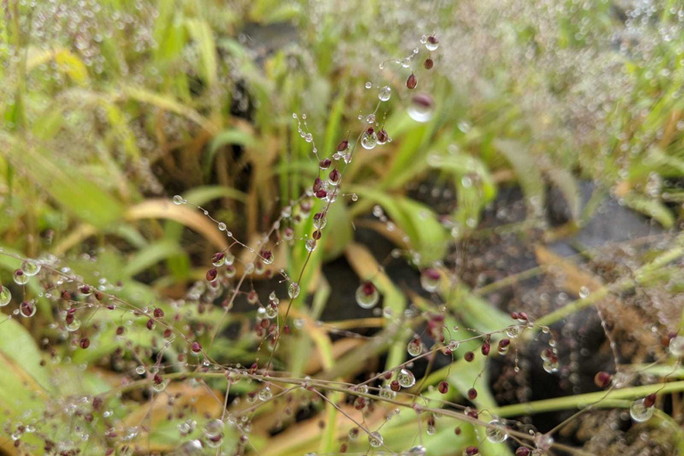 5-Day Explore Zimbabwe, Zambia and Botswana