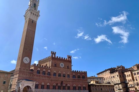 Firenze: Pisa, Siena, San Gimignano og Chianti Experience