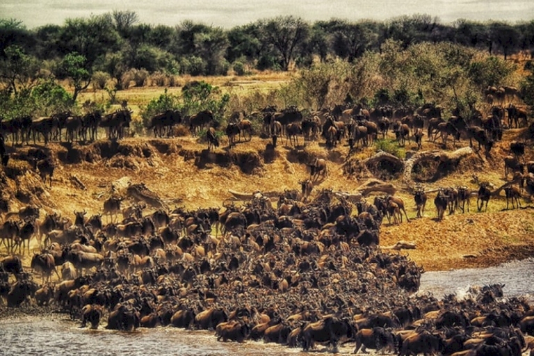 Nairobi: 4-dniowe safari Masajów Mara i jezioro Nakuru Camping SafariOpcja prywatna 3 noc / 4 dni Masai Mara i Nakuru Safari
