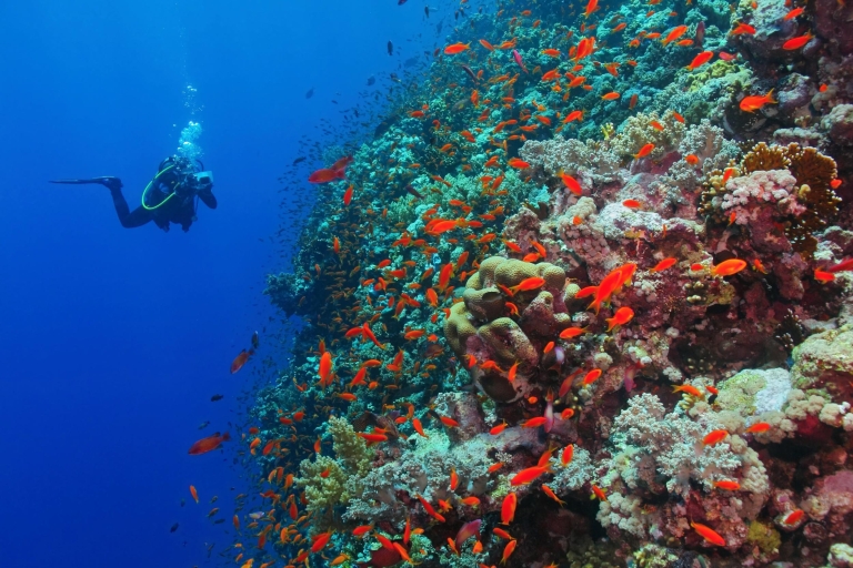 Eilat: Intro to Diving with Certified Instructor