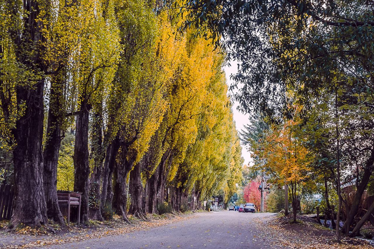 From Bariloche: Chico Circuit & Colonia Suiza Tour