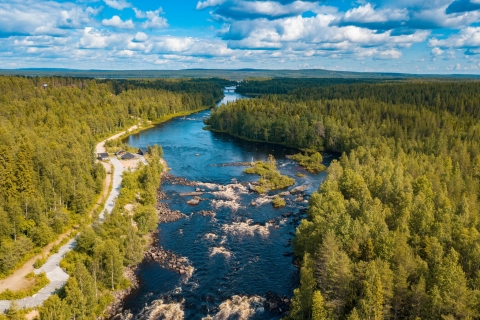 Z Rovaniemi: wycieczka piesza po lesie Vikaköngäs z grillem