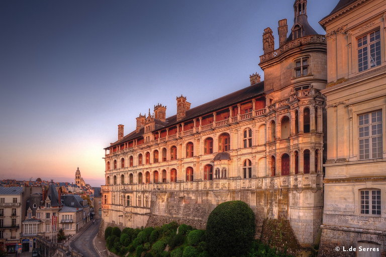 Tour/Amboise: Escursione privata di un giorno a Chambord, Blois e ChevernyEscursione privata di un giorno - Partenza alle 9 del mattino