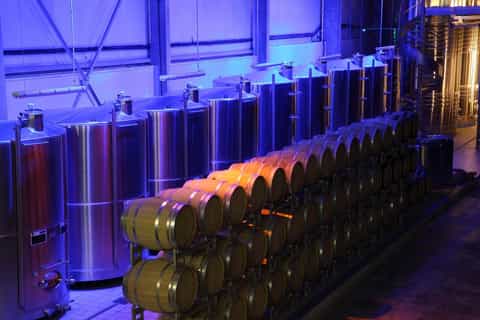 Passy-Grigny: Champagne Tour and Tasting Experience