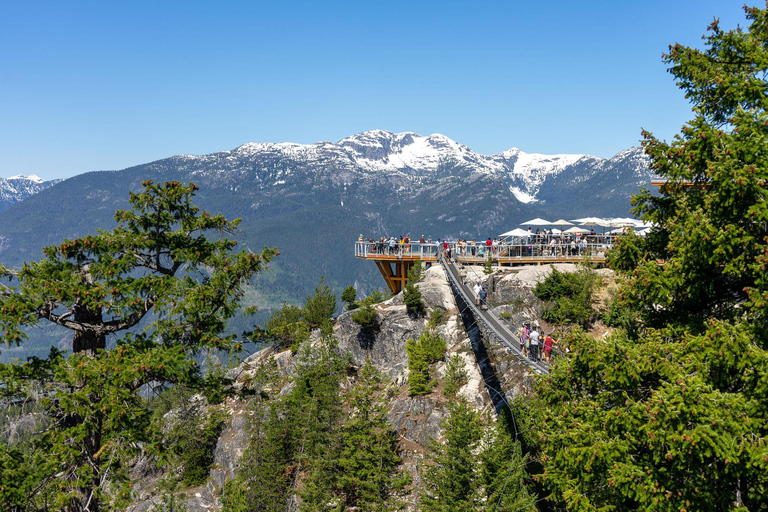 Autopista del Mar al Cielo: Whistler y la excursión en góndola del Mar al CieloWhistler y la excursión en góndola del Mar al Cielo - 2025