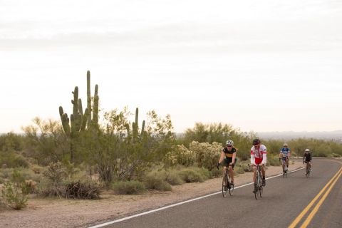 Scottsdale: Half-Day Road Bike Tour