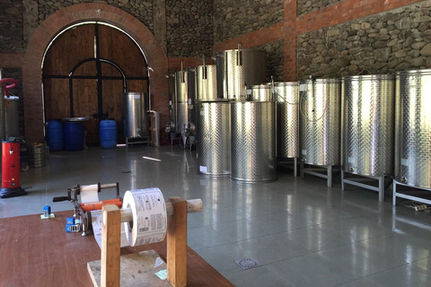 Adjara: Vineyard Tour with Wine Tasting and Lunch