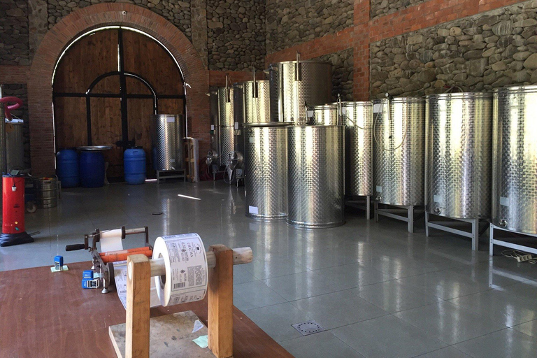 Adjara: Vineyard Tour with Wine Tasting and Lunch