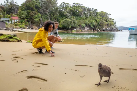 Ilha Stewart: Explora a ilha de Ulva