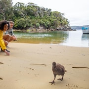 Stewart Island: Ulva Island Guided Wilderness Walk & Cruise