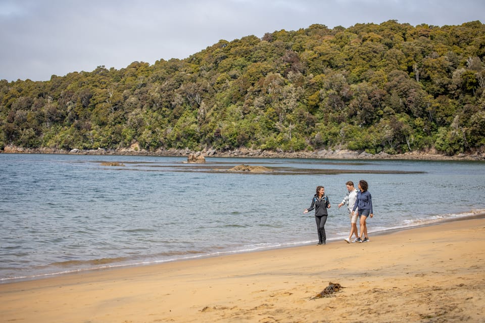 Isla Stewart Paseo Y Crucero Guiado Por La Isla De Ulva Getyourguide