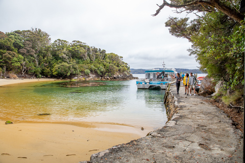 Stewart Island: Ulva Island Guided Wilderness Walk & Cruise Paterson Inlet Cruise & Ulva Island Guided Walk