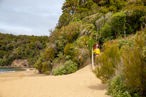 Stewart Island: Ulva Island Guided Wilderness Walk & Cruise Paterson Inlet Cruise & Ulva Island Guided Walk