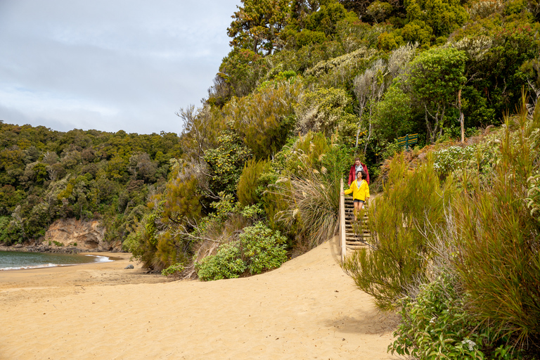 Stewart Island: Ulva Island Guided Wilderness Walk & Cruise Paterson Inlet Cruise & Ulva Island Guided Walk