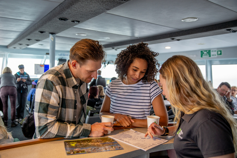 Stewart Island: Ferry Service Between Bluff & Stewart Island Ferry Service from Stewart Island to Bluff