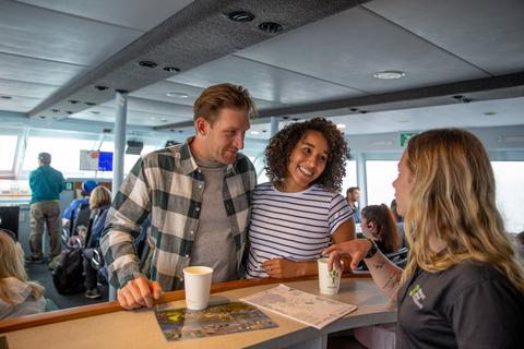 Stewart Island: Ferry Service Between Bluff & Stewart Island Ferry Service from Stewart Island to Bluff