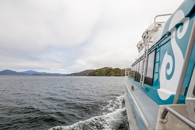 Stewart Island: Ferry Service Between Bluff & Stewart Island Ferry Service from Stewart Island to Bluff