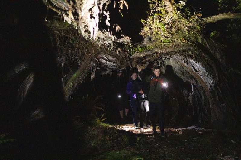 Stewart Island: Wild Kiwi Encounter