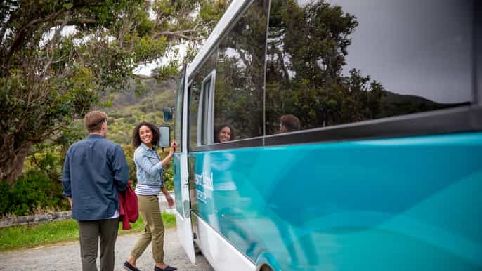 stewart island village and bays tour