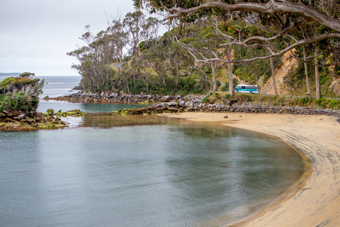 Stewart Island: Village and Bays Tour