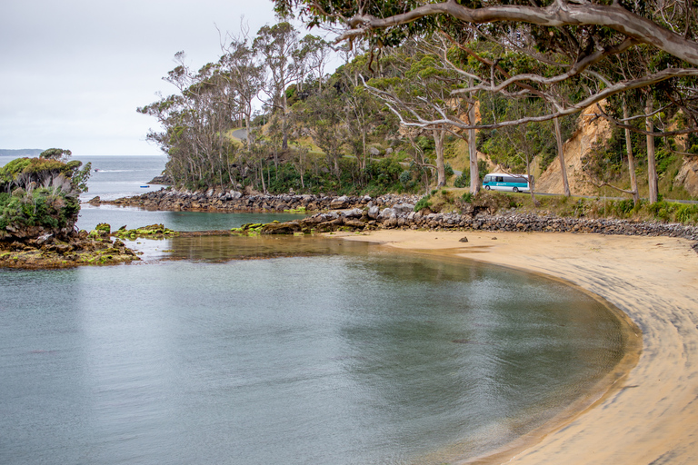 Stewart Island: Village and Bays Tour