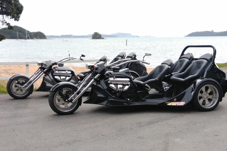 Paihia: Bay of Islands Trike-Tour-Erlebnis1-stündige Kombi-Tour durch die Bucht