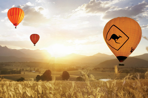 Gold Coast: Hot Air Balloon Flight, Sparkling Wine & Photos