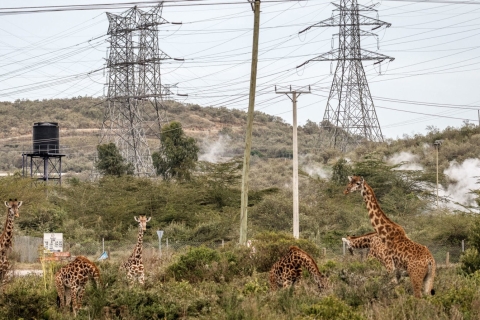 Desde Nairobi: excursión de un día al parque nacional Hell`s GatePuerta del infierno de un día, incluida la isla Cresent