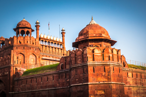 Red Fort & Old Delhi: 5 hours Half Day Tour