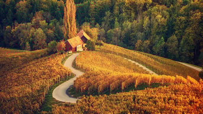 from ljubljana maribor ptuj heart of the vineyards