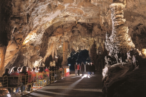 Z Lublany: wycieczka do jaskini Postojna i jeziora Bled z biletami