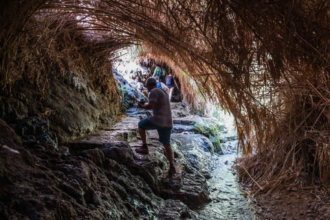 Från Jerusalem: Masada, Ein Gedi och Döda havet