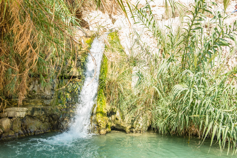 Z Jerozolimy: Masada, Ein Gedi i wycieczka po Morzu Martwym