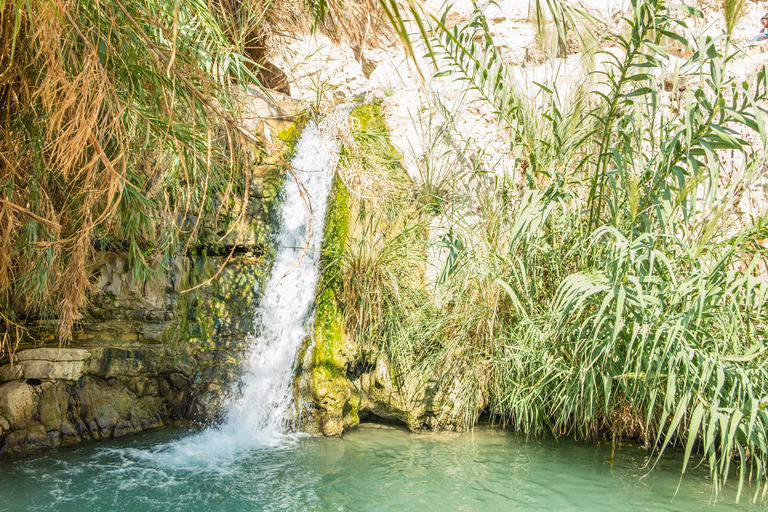 Au départ de Jérusalem : Visite de Masada, Ein Gedi et la Mer Morte