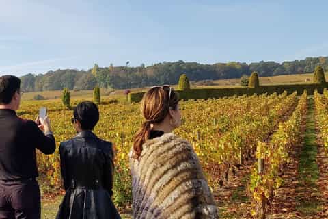 depuis reims maisons moët chandon et taittinger