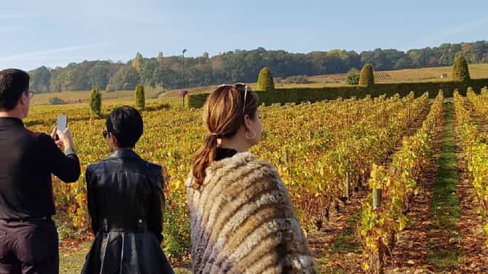 from reims exclusive tour to moet et chandon taittinger