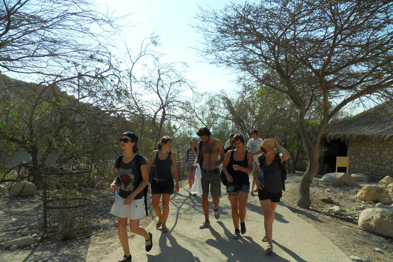 Ab Tel Aviv: Tagestour nach Masada, Ein Gedi und Totes Meer