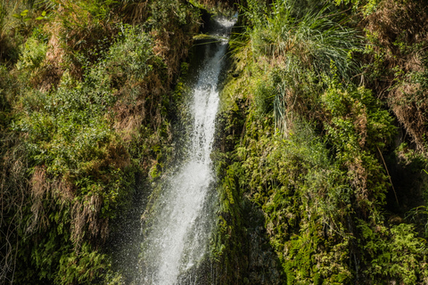 From Tel Aviv: Masada, Ein Gedi and Dead Sea Day Tour