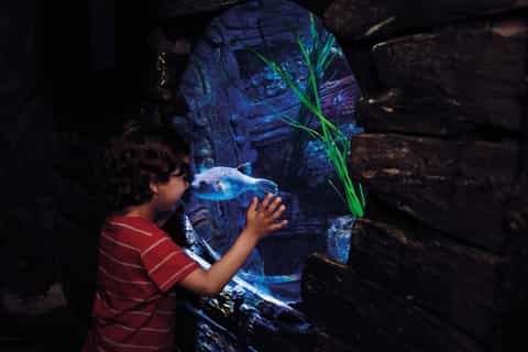 Londra: biglietto per Madame Tussauds, London Eye e SEA LIFE