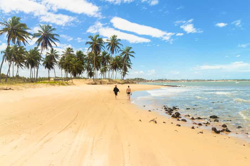 Natal Maracajaú Beach Day Trip with Snorkeling GetYourGuide