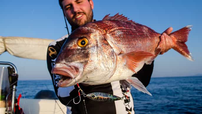 kissamos private fishing trip with snacks and drinks